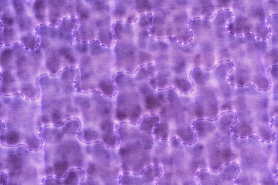 texture, transparency, transparent textile, light, pattern HD wallpaper