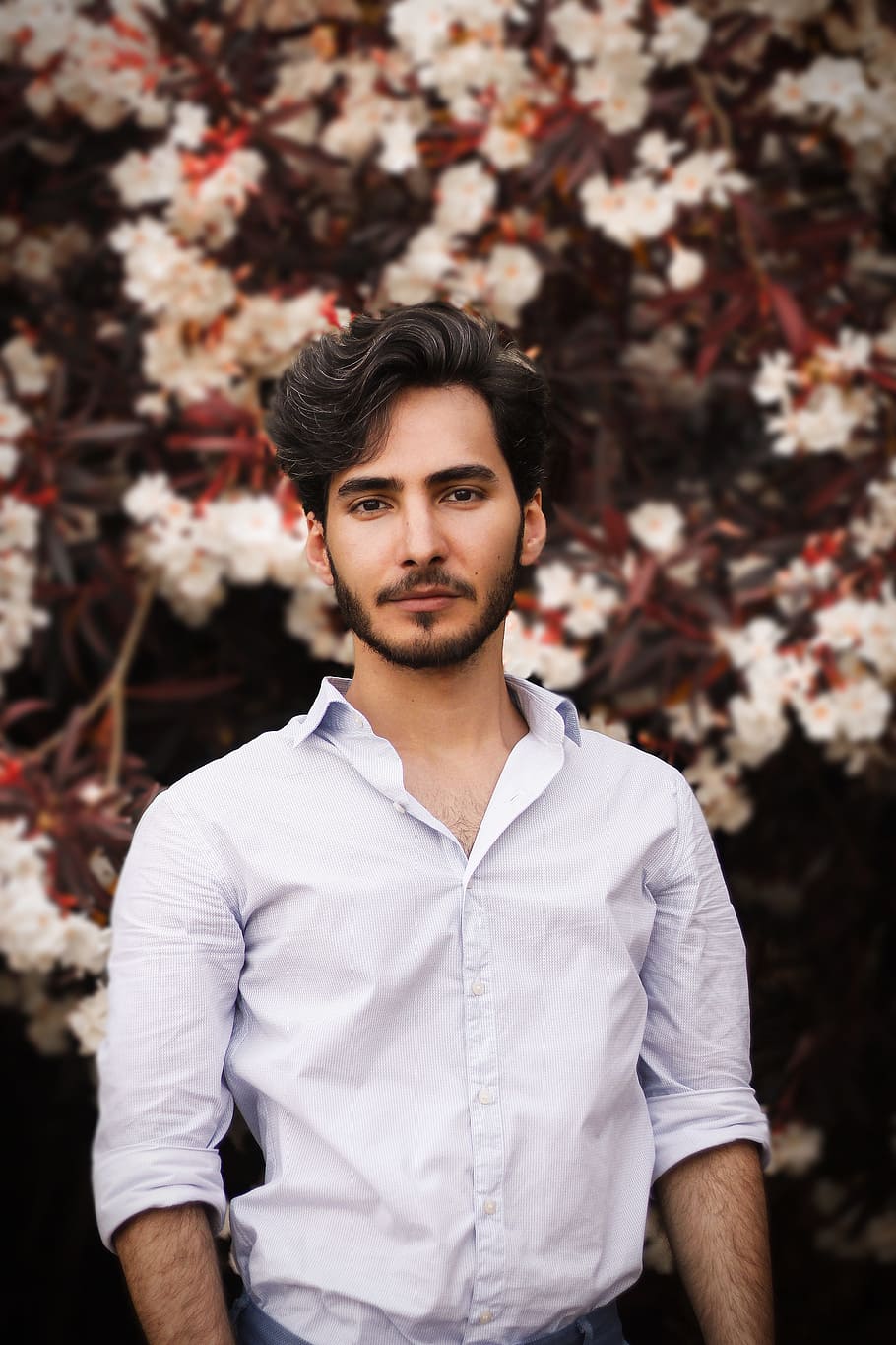 man wearing white button-up dress shirt near white petaled flower tree HD wallpaper