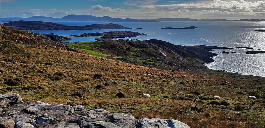 the ring of kerry, ireland, nature, landscape, coast, county