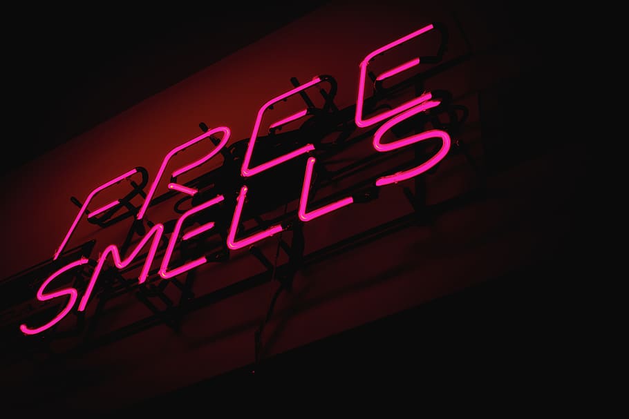 pink, dark, smell, neon sign, communication, text, illuminated, HD wallpaper
