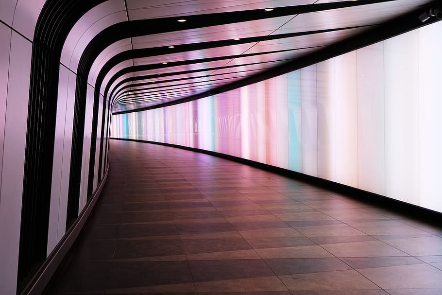 Photography of a Contemporary Hallway, architectural design, architecture HD wallpaper