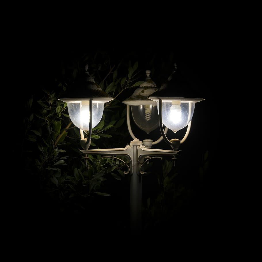 lamp, light, night, dark, darkness, white, black, bush, lighting equipment HD wallpaper
