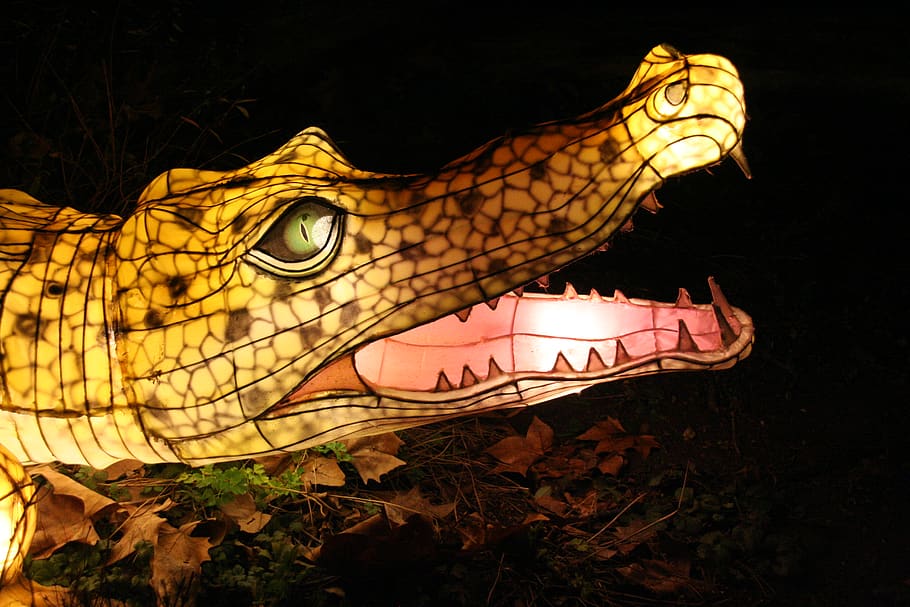 yellow crocodile LED light, animal, dinosaur, reptile, germany HD wallpaper