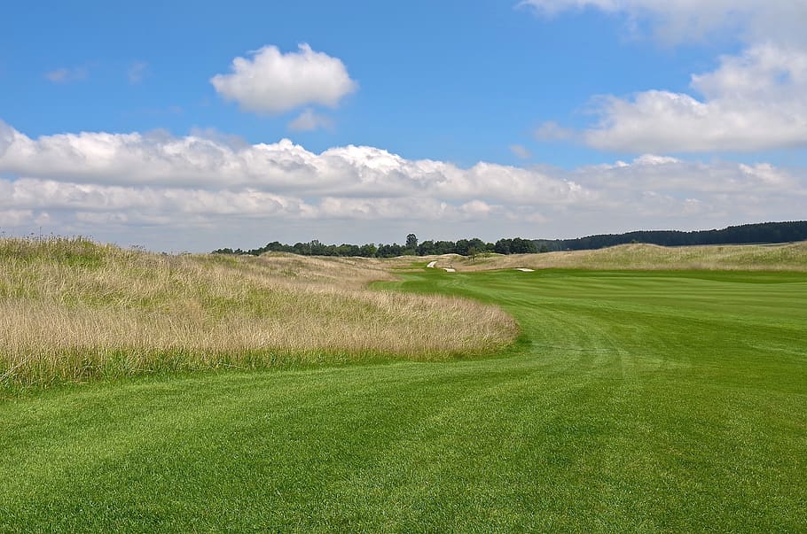 golf, golf course, sport, green, hobby, grass, golf game, club HD wallpaper