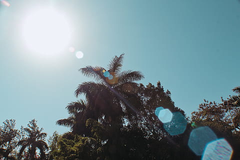 flare, light, outdoors, sun, nature, sunlight, india, pune HD wallpaper