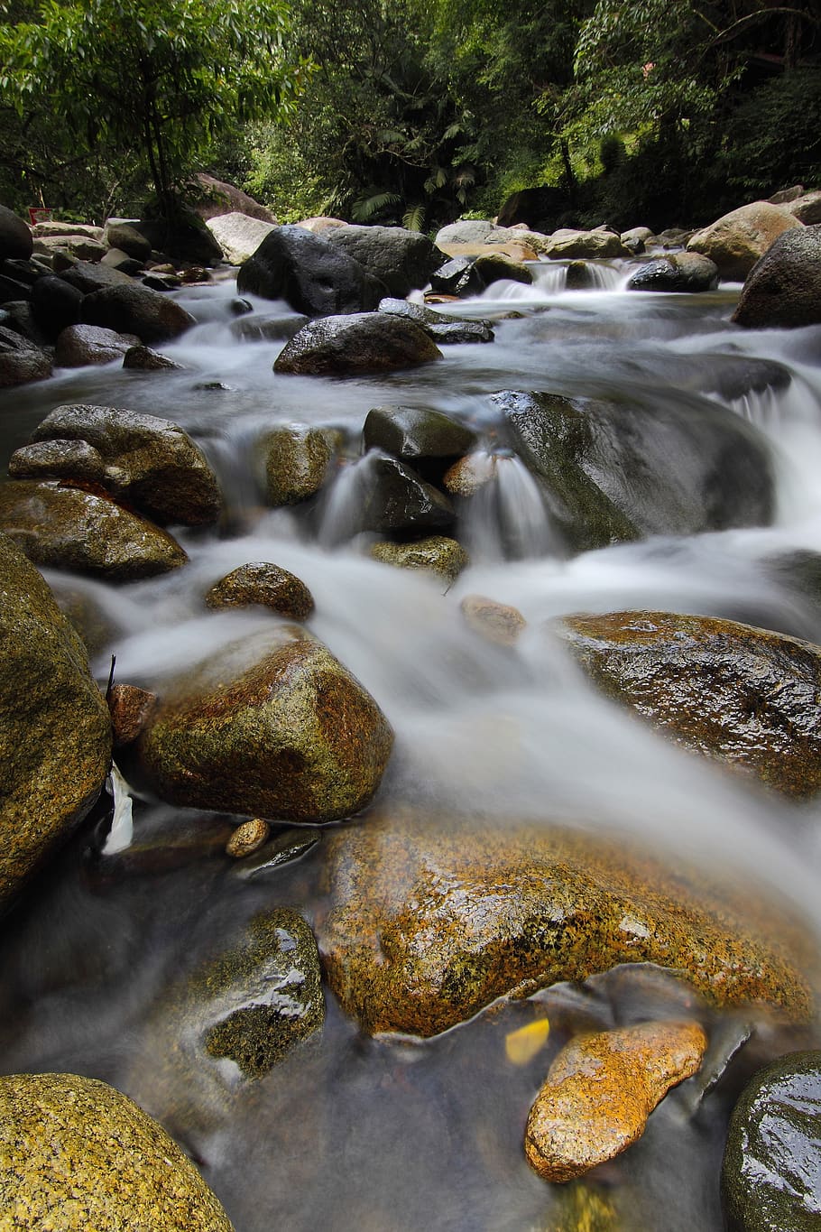 Body of Water Near Green Tree, nature, rocks, stones, stream HD wallpaper