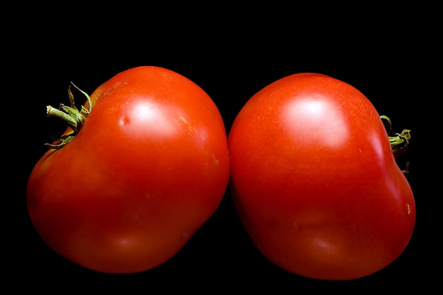 close-up, closeup, diet, dieting, eating, food, fresh, freshness HD wallpaper
