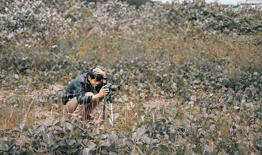 Man Taking Photo Using Dslr Camera, daylight, field, grass, person HD wallpaper