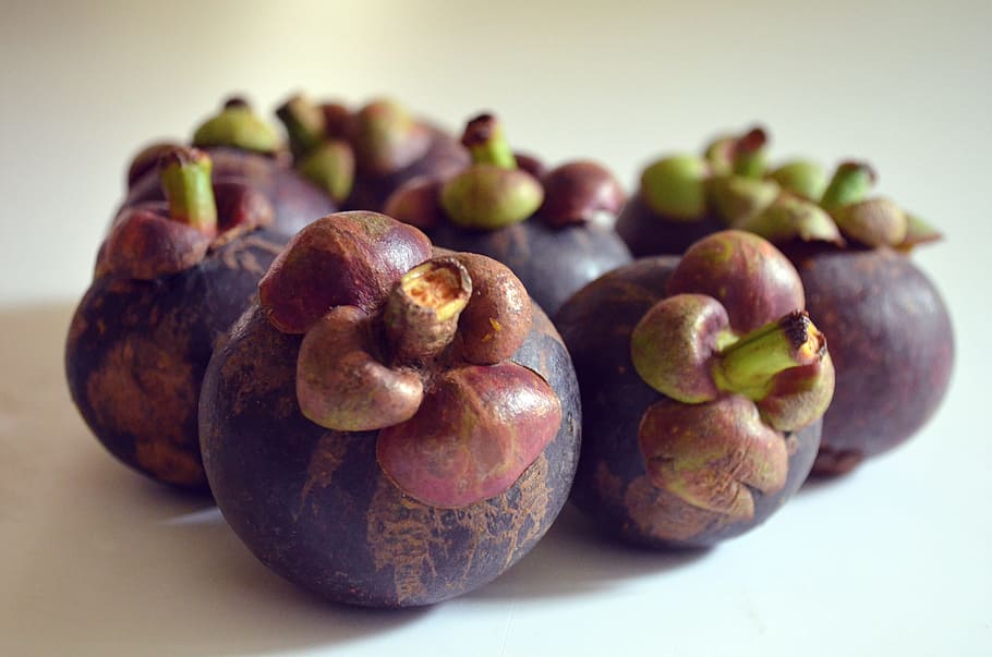 10+ Mangosteen Thailand Fruit Sri Lanka Stock Photos, Pictures &  Royalty-Free Images - iStock