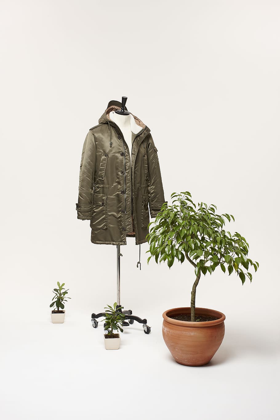 brown jacket beside green plant, pot, leaf, leaves, fashion, style HD wallpaper