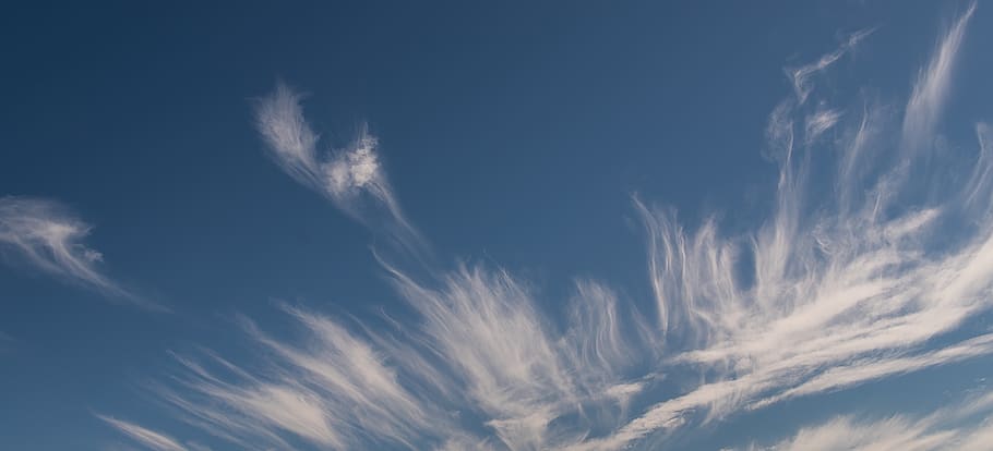 clouds, white, blue, cloudscape, delicate, pattern, sky, background HD wallpaper