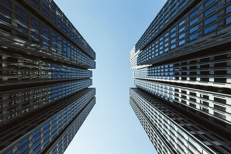 High Rise Buildings, architecture, city, downtown, low angle shot HD wallpaper