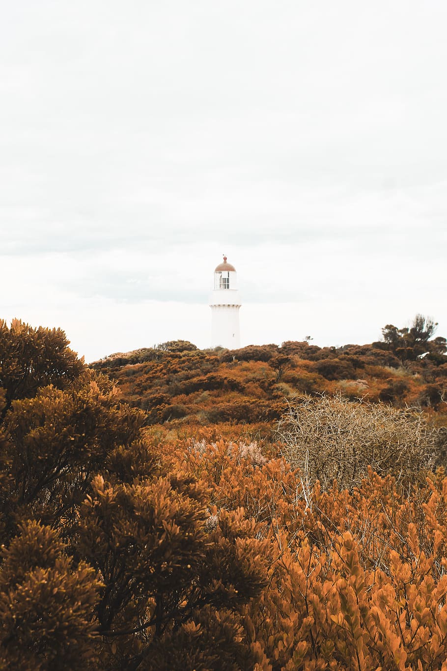 In Distance White Lighthouse, architecture, cropland, dawn, daylight HD wallpaper