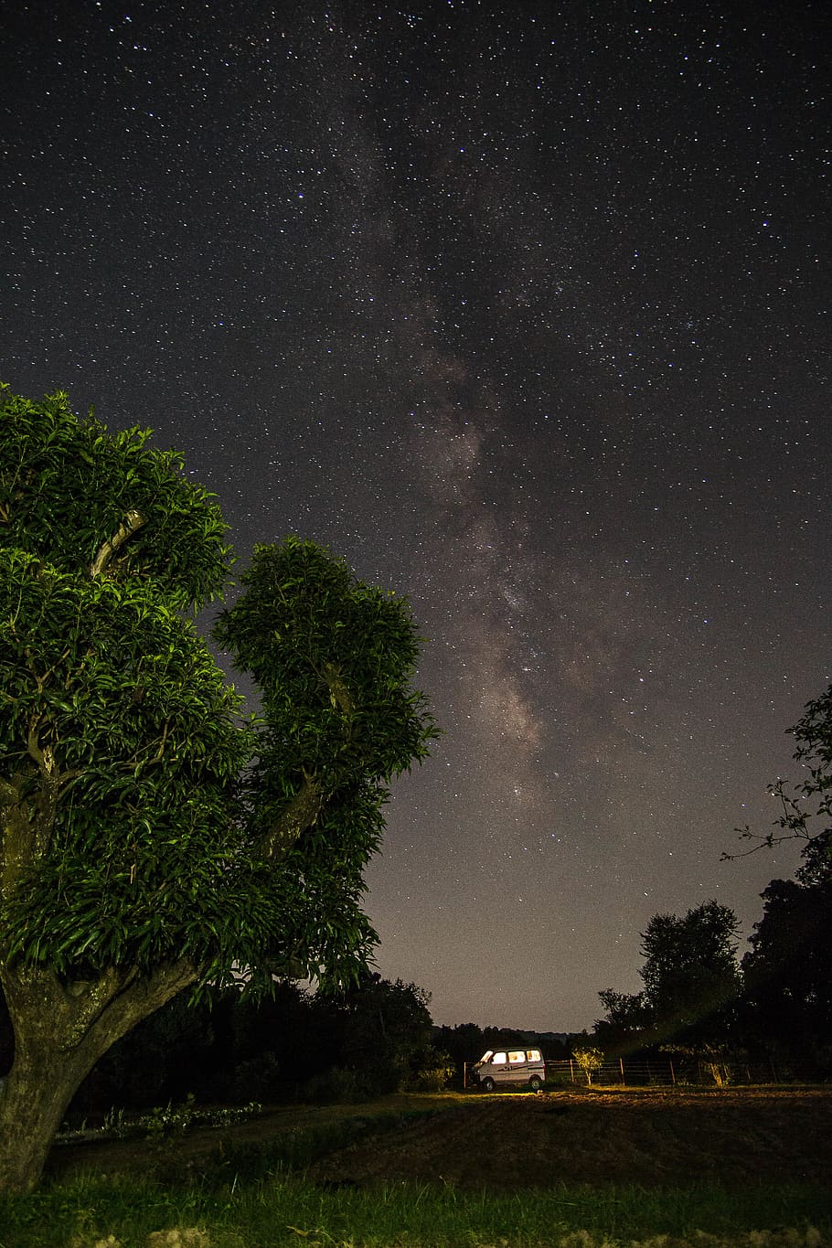 galaxy, star, nightsky, star - space, astronomy, plant, tree HD wallpaper
