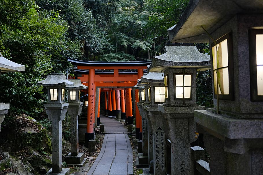 japan, kyōto-shi, fushimi inari taisha, forest, shrine, trees