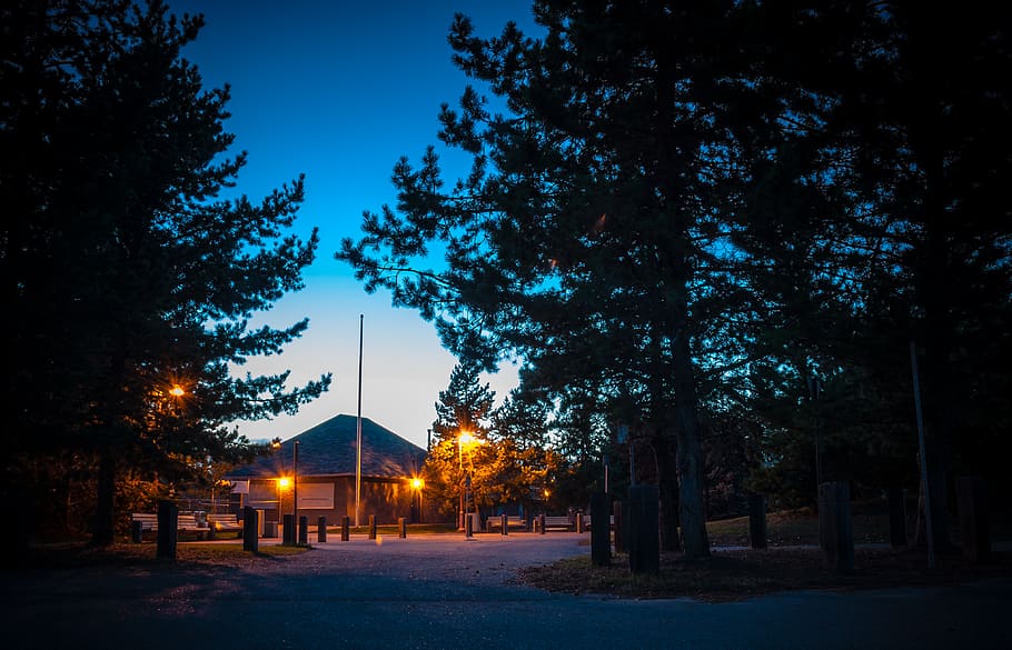 powered-on light posts during golden hour, canada, st. albert HD wallpaper
