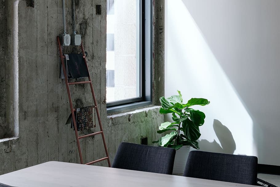 table, chair, window, glass, sunlight, green, plant, interior HD wallpaper