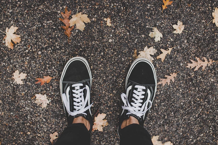 person wearing Vans Old Skool shoes, autumn, wander, livefolk, HD wallpaper
