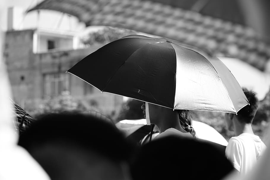 umbrella, protection, security, real people, group of people, HD wallpaper