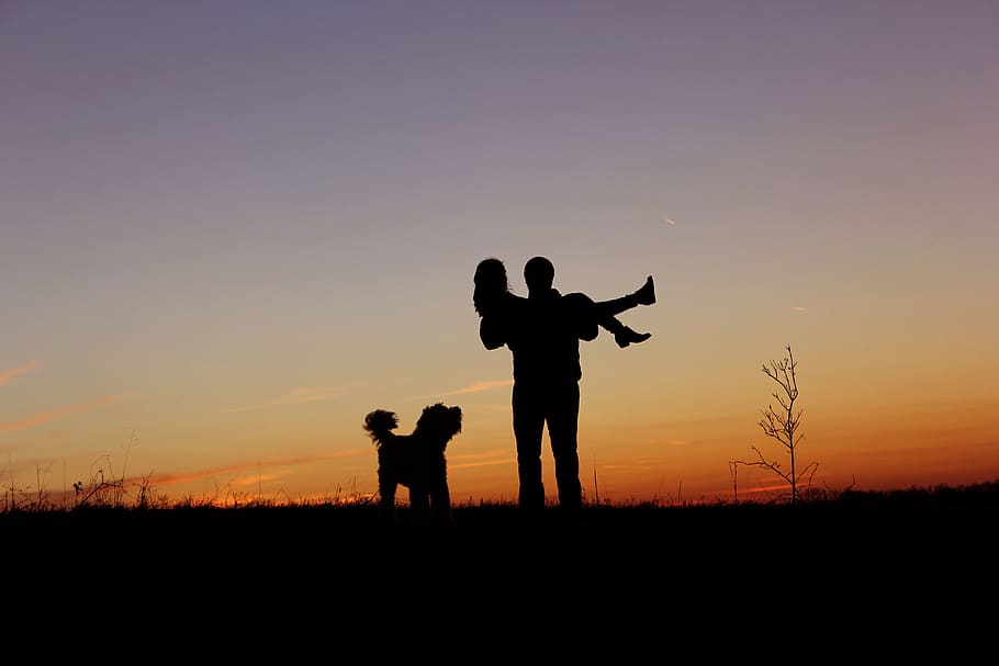 couples, sunset, dog, engagment, silhouette, sky, real people HD wallpaper