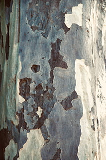 rust, art, painting, Tree abstract, slate, steel, modern art HD wallpaper