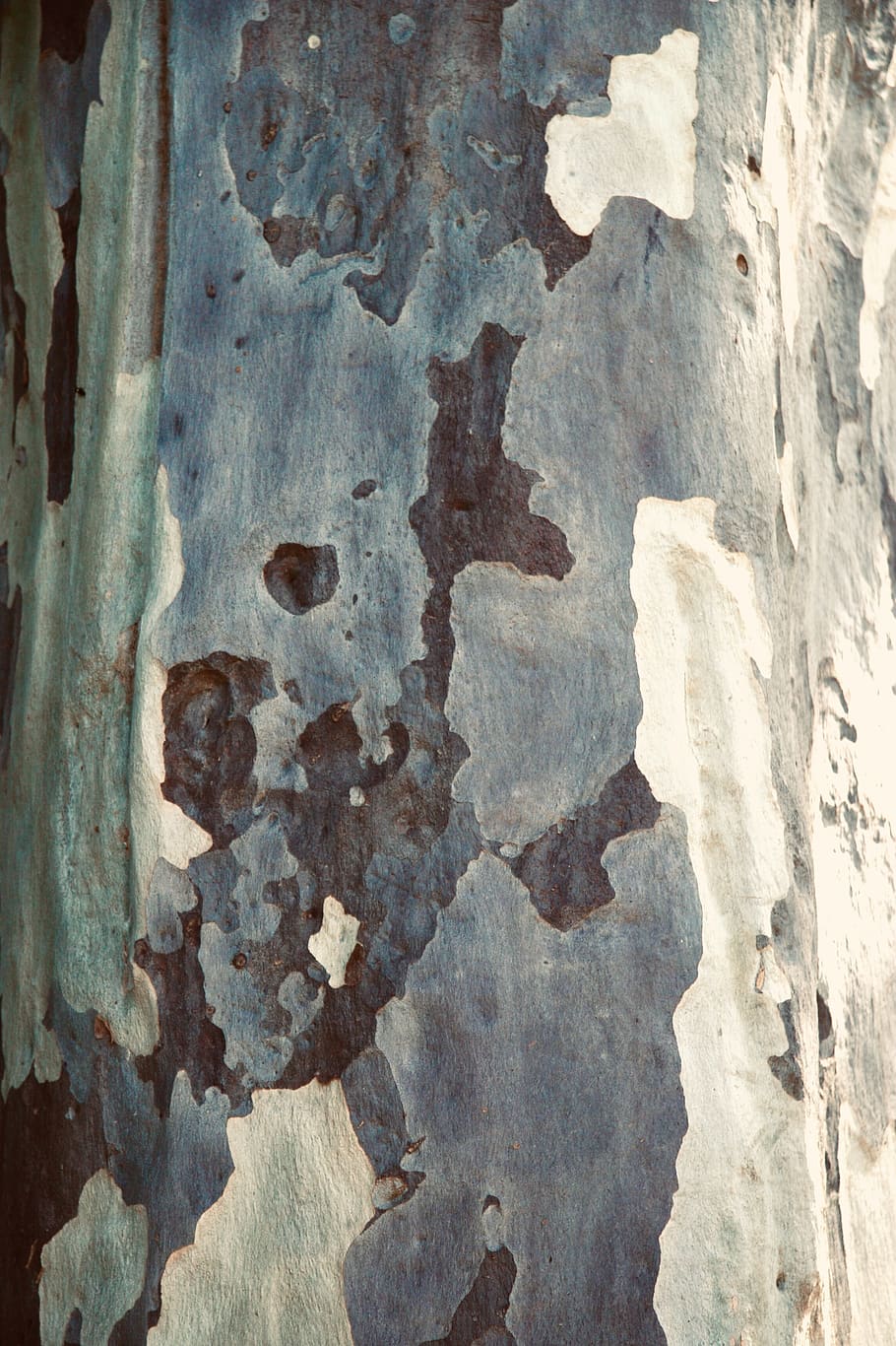 rust, art, painting, Tree abstract, slate, steel, modern art HD wallpaper