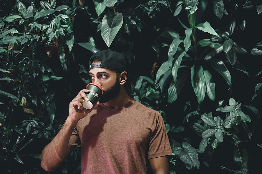 man drinking behind green leafed plnats, human, person, people HD wallpaper