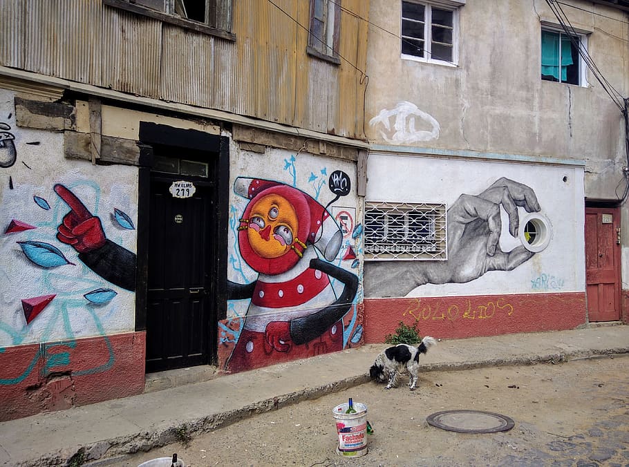 chile, valparaíso, street art, graffiti, valparaiso, valpo, HD wallpaper