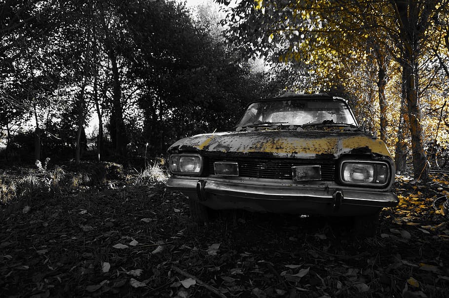 forest, rusty car, rusty relic, mode of transportation, tree HD wallpaper