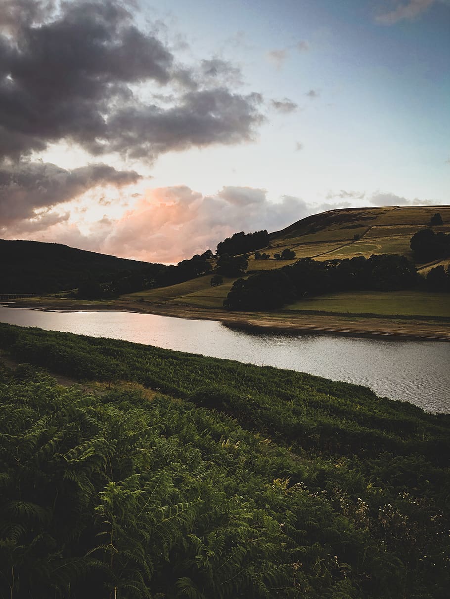 Plants By The River And Hill, england, fields, landscape, mountain HD wallpaper