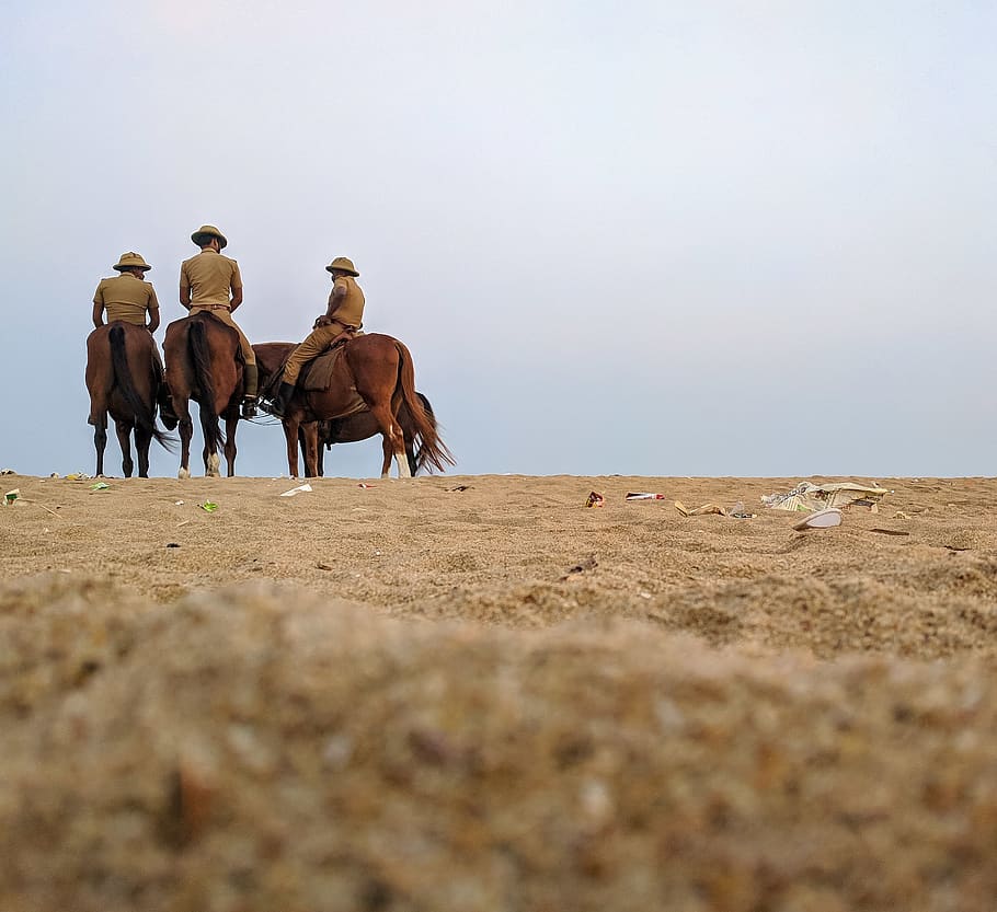 Group of Horsemen on Desert, daylight, daytime, hats, mammals HD wallpaper