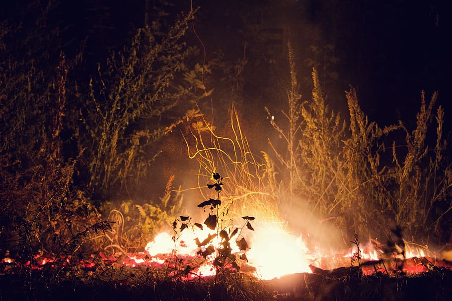 сумы, balefire, summer, sumy, ukraine, long exposure, campaign HD wallpaper