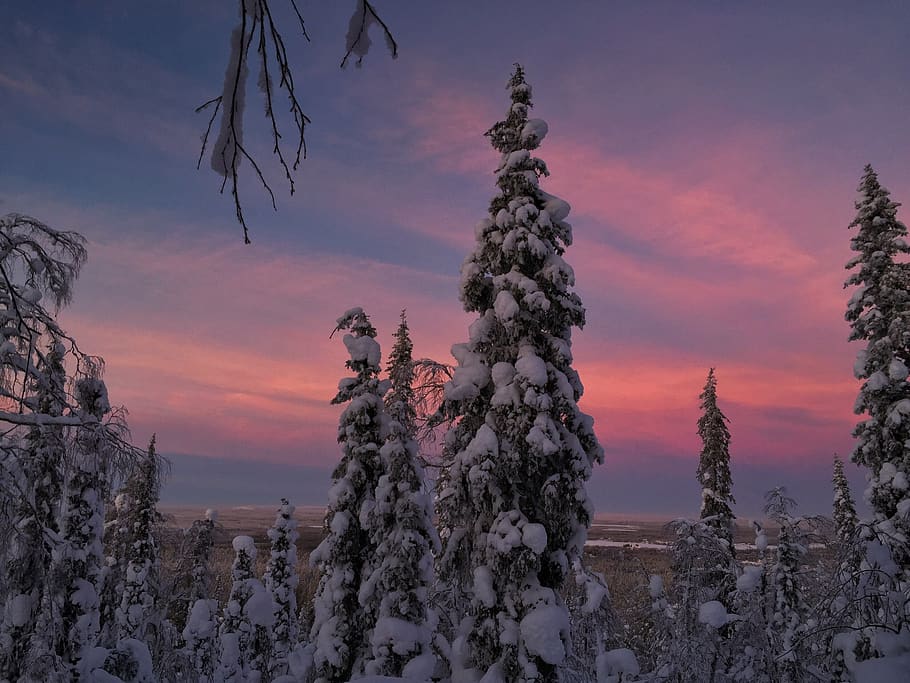finland, lappi, sunset, sky, beauty in nature, winter, snow HD wallpaper