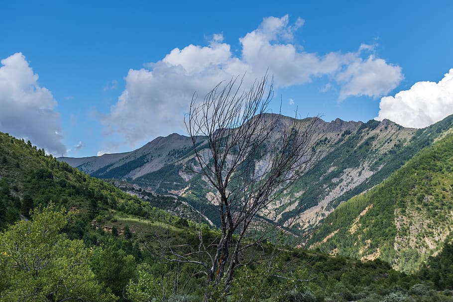 mountain, hills, basin, alpine, alps, trees, landscape, scenic HD wallpaper