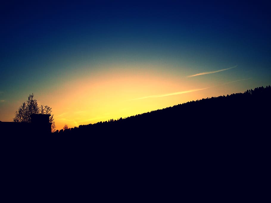 germany, sunset, trees, yellow, calm, forest, silhouette, sky HD wallpaper