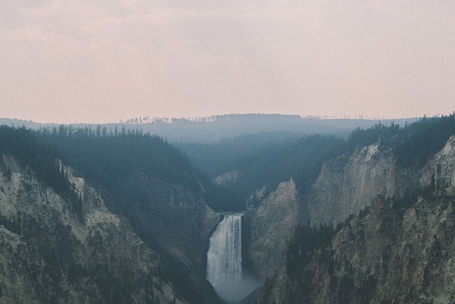 canyon, river, forest, environment, scenics - nature, beauty in nature HD wallpaper