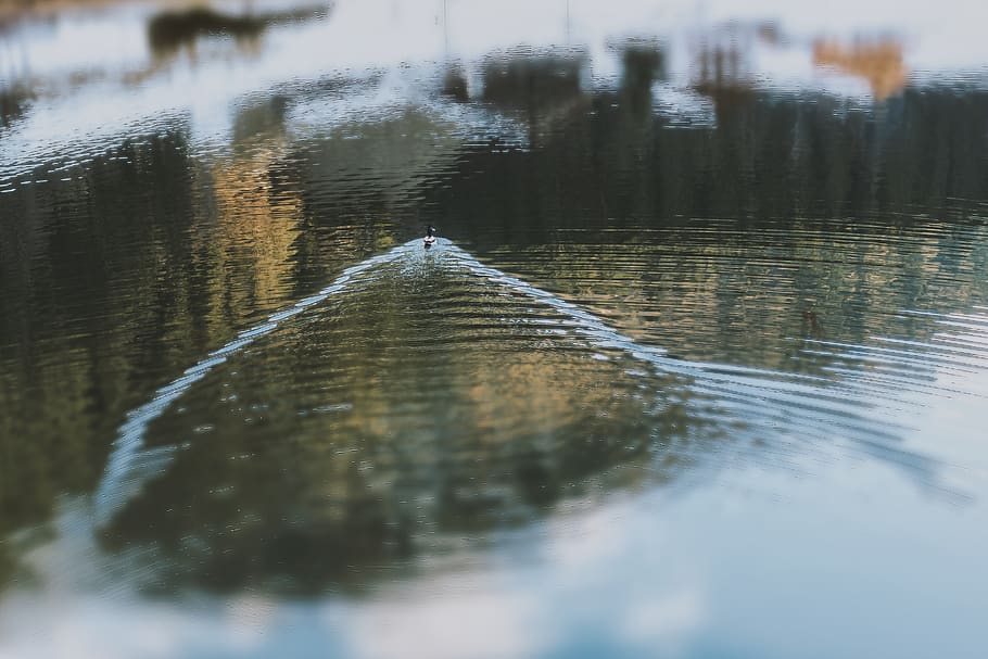 Lake, cold, dawn, evening, lakeside, landscape, reflection, ripple HD wallpaper