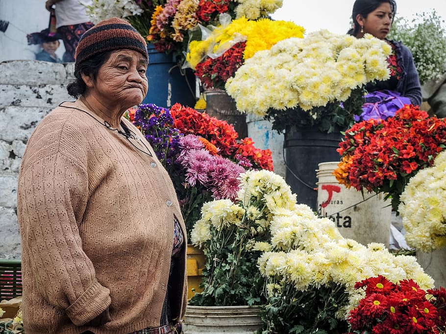 guatemala, guatemala city, wrinkles, wrinkled, wrinkled face, HD wallpaper