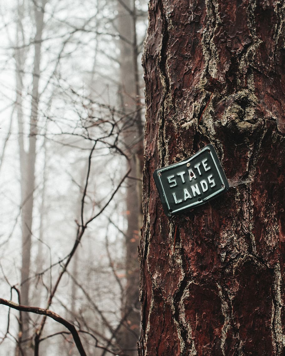 green State Lands sign on tree, trunk, tree trunk, communication HD wallpaper