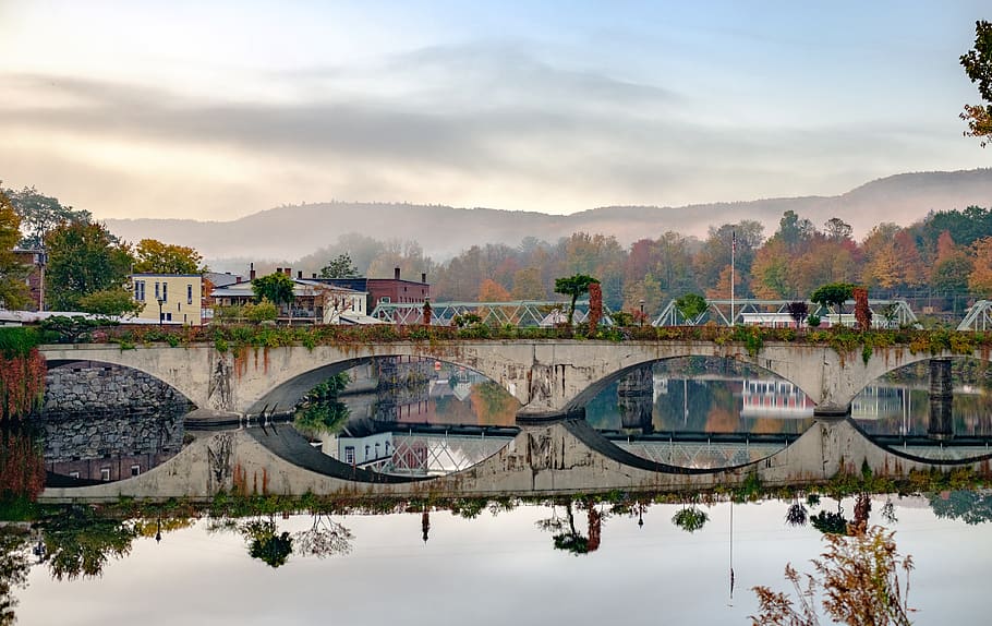 river, massachusett, flower, tree, fall, autumn, water, reflection HD wallpaper