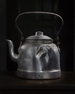 gray steel kettle, pot, pottery, teapot, jug, boiling, aloe, plant HD wallpaper