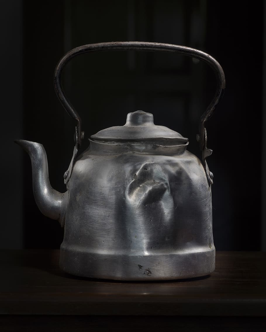 gray steel kettle, pot, pottery, teapot, jug, boiling, aloe, plant HD wallpaper