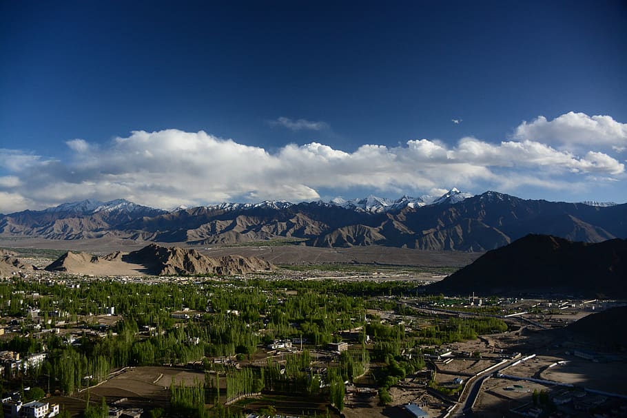 leh, mountains, trees, ladakh, nature, himalaya, mountain range