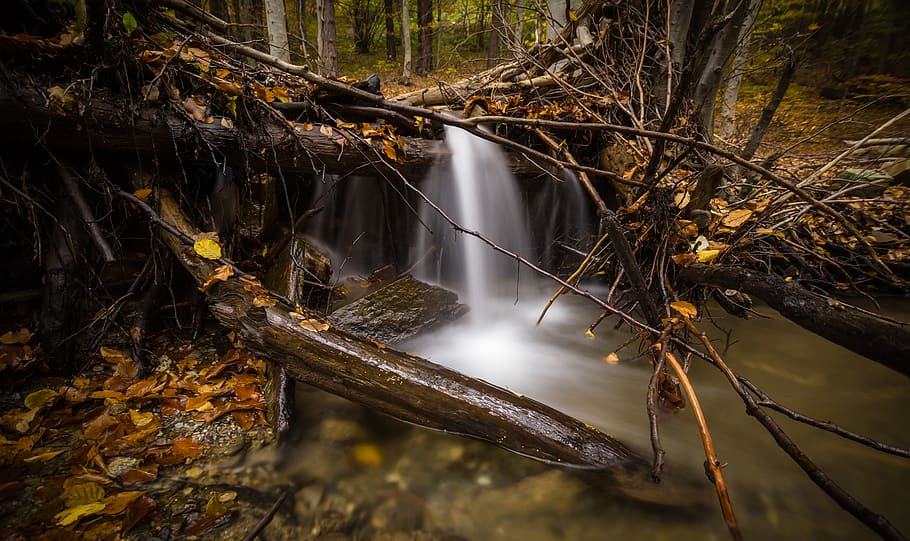 Time Lapse Photography of Falls Surrounded by Trees, branches HD wallpaper