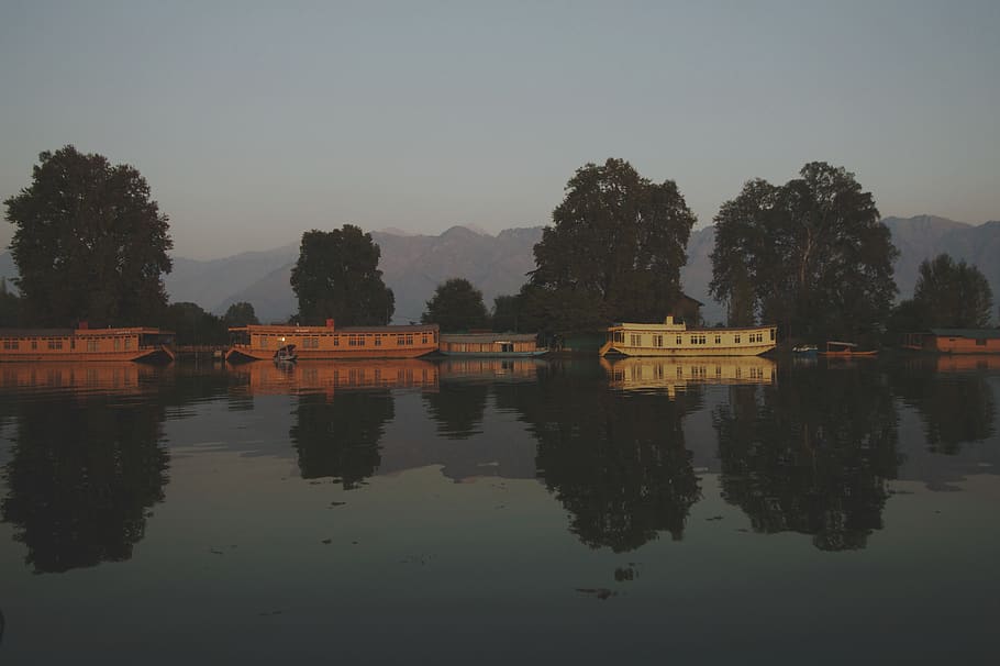srinagar, nigeen lake, houseboats, reflection, water, tree, HD wallpaper
