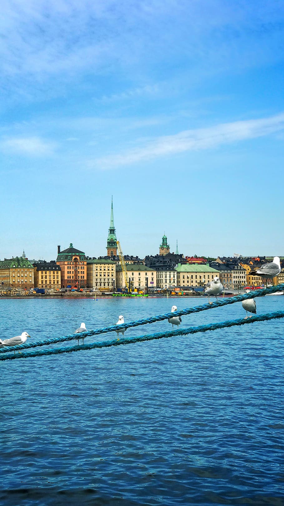 water, tower, building, spire, steeple, architecture, waterfront HD wallpaper
