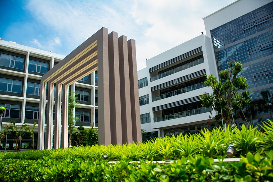 school, grass, building, sky, university, building exterior HD wallpaper