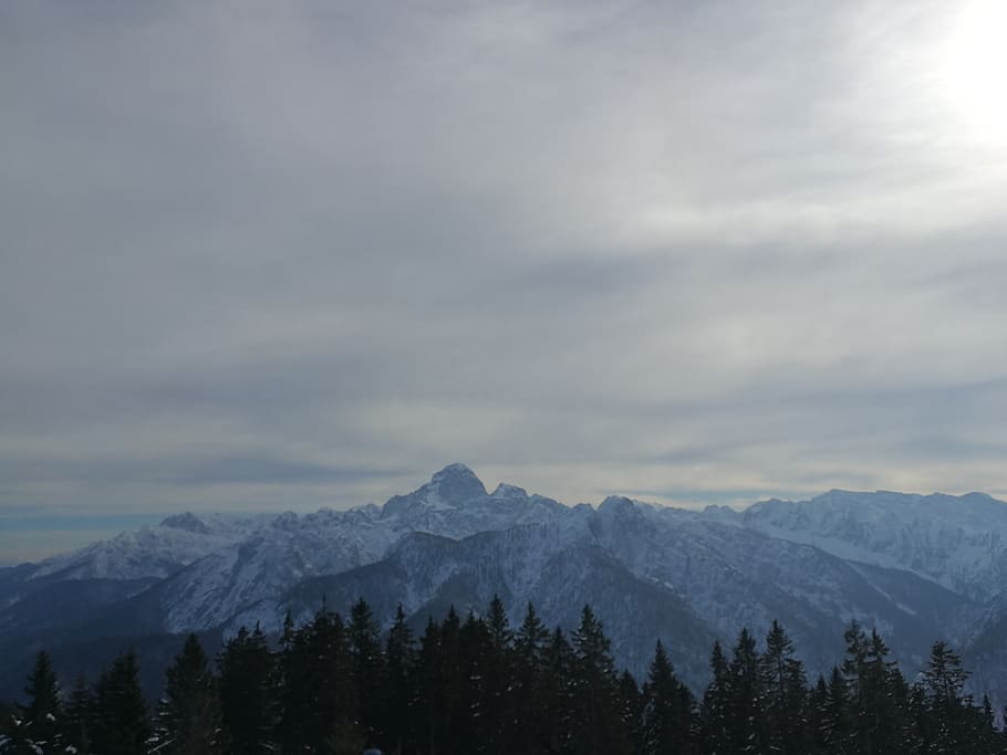 mountain, outdoors, nature, mountain range, fir, abies, tree HD wallpaper