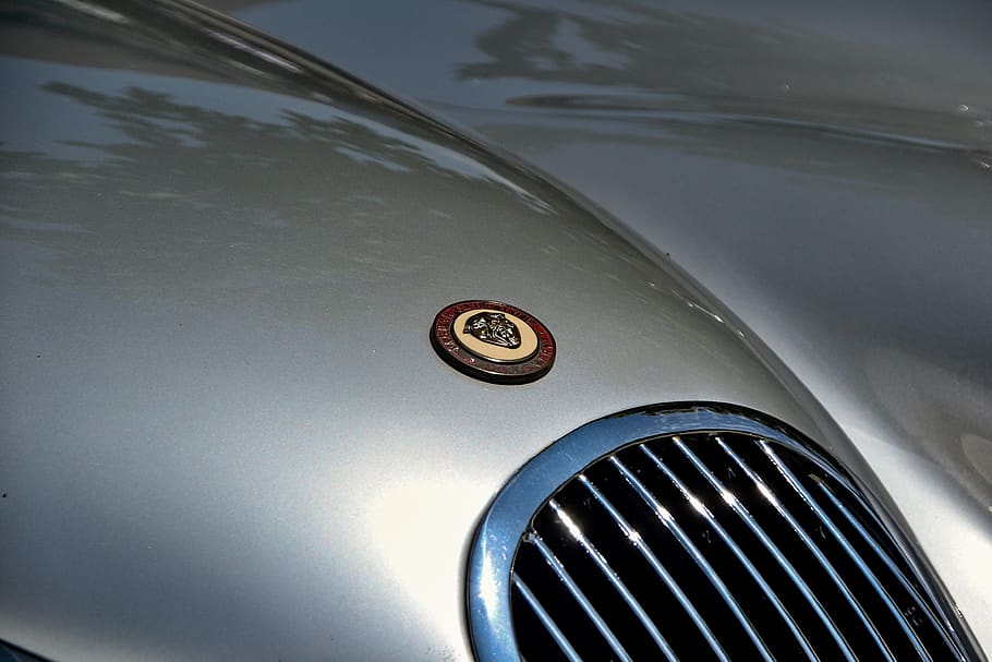 jaguar, hood, logo, chrome, luxury car, pkw, close-up, no people HD wallpaper