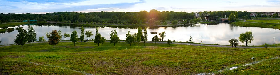 canada, longueuil, saint-hubert, parc, water, lake, plant, tree, HD wallpaper